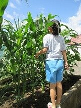 IMG_0535.jpg