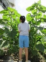 IMG_0536.jpg