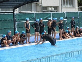 IMG_0541.jpg