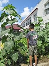 IMG_0543.jpg