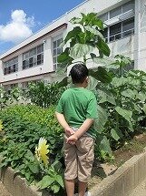 IMG_0545.jpg
