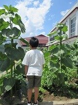 IMG_0547.jpg