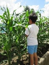 IMG_0548.jpg