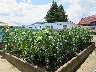 IMG_0555.jpg