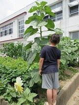 IMG_0576.jpg
