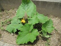 IMG_0577.jpg