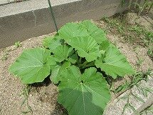 IMG_0578.jpg