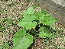 IMG_0580.jpg
