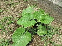 IMG_0581.jpg