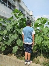 IMG_0585.jpg