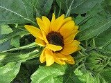 IMG_0591.jpg