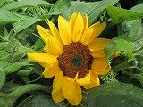 IMG_0594.jpg