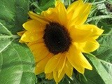 IMG_0597.jpg