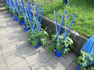 IMG_0606.jpg