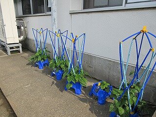 IMG_0607.jpg