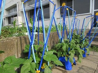 IMG_0611.jpg