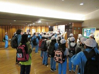 IMG_0645.jpg