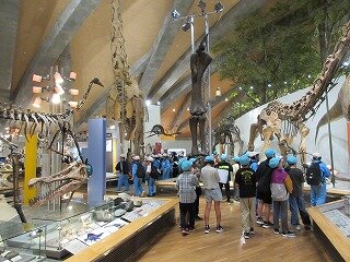 IMG_0657.jpg