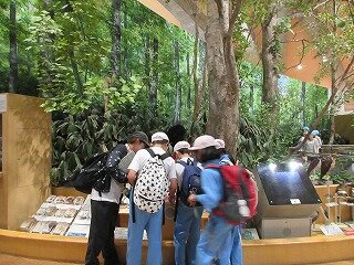 IMG_0663.jpg
