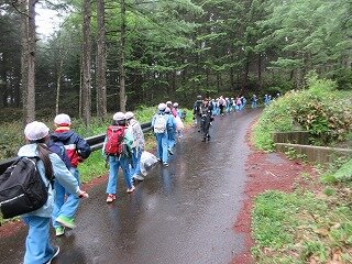 IMG_0670.jpg