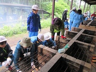 IMG_0672.jpg