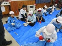 IMG_0778.jpg