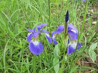 IMG_0813.jpg
