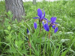 IMG_0814.jpg