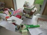 IMG_0822.jpg
