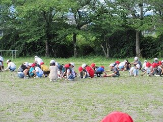 IMG_0833.jpg