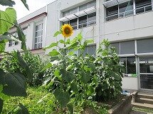 IMG_0868.jpg