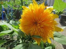 IMG_0873.jpg