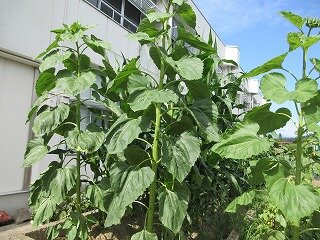 IMG_0875.jpg
