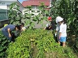 IMG_0878.jpg