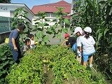 IMG_0879.jpg