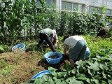 IMG_0880.jpg
