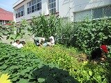 IMG_0881.jpg