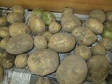 IMG_0888.jpg