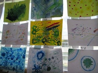 IMG_0915.jpg