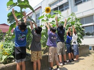 IMG_0935.jpg