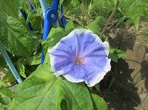 IMG_0963.jpg