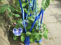 IMG_0964.jpg