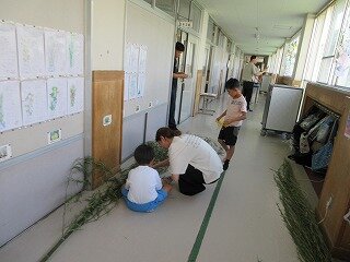 IMG_0998.jpg