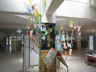 IMG_1016.jpg