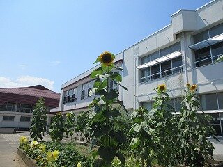 IMG_1096.jpg