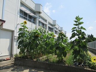 IMG_1108.jpg