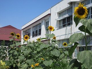 IMG_1109.jpg