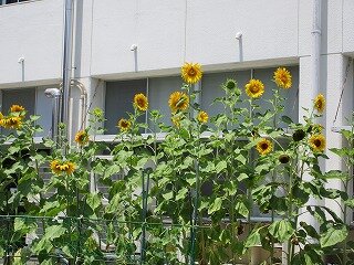 IMG_1116.jpg