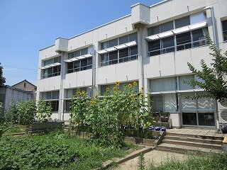 IMG_1117.jpg