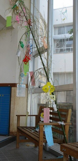 IMG_11631.jpg